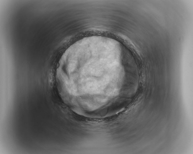 X0000101091110200807241002