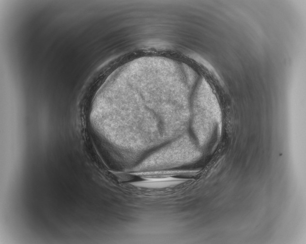 X0000101091112200807241002