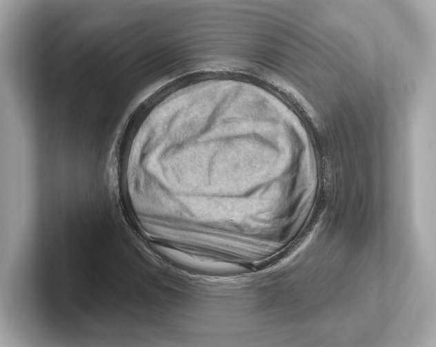 X0000101091114200807241002