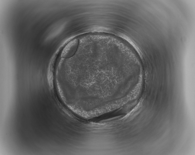 X0000101091115200807241002