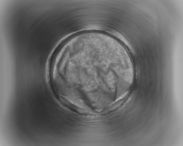 X0000101091116200807241002