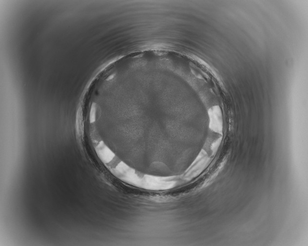 X0000101091117200807241002