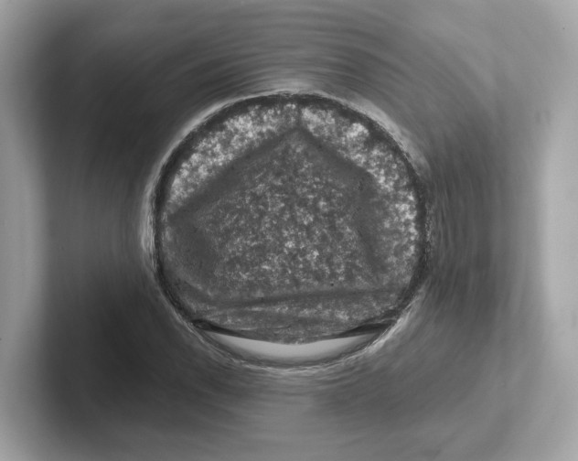 X0000101091118200807241002