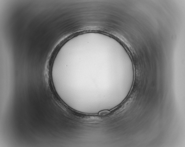 X0000101091119200807241002