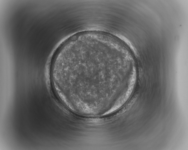 X0000101091120200807241002