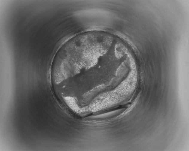 X0000101091121200807241002