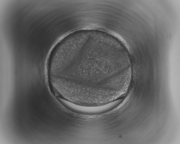 X0000101091122200807241002