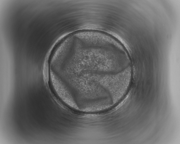 X0000101091123200807241002