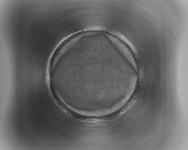 X0000101091124200807241002