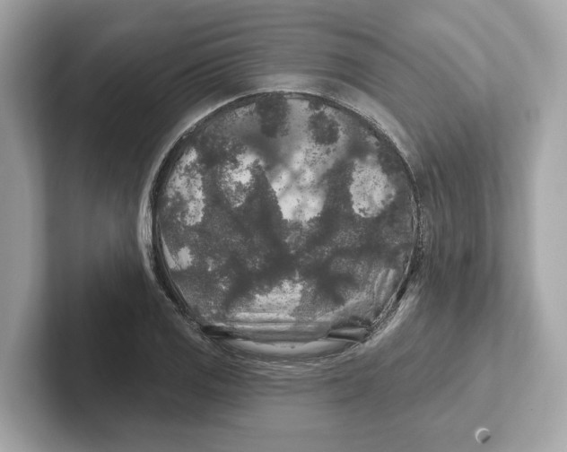 X0000101091125200807241002