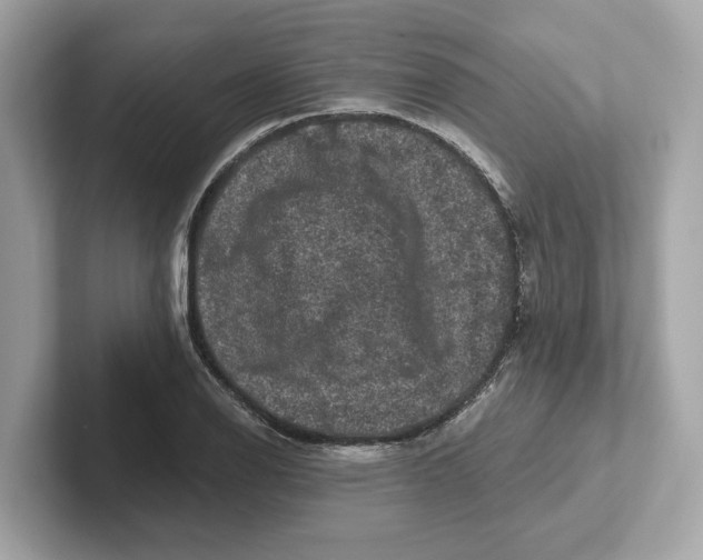 X0000101091126200807241002