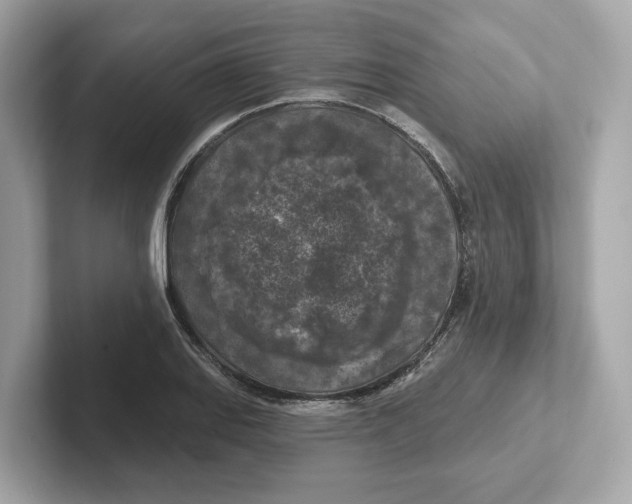 X0000101091127200807241002