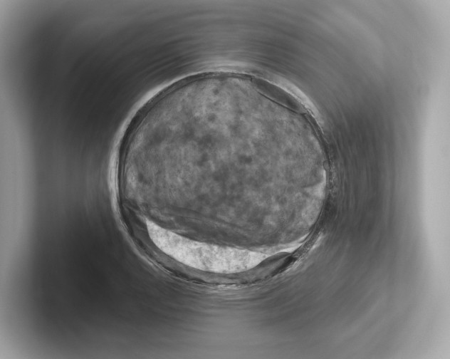 X0000101091128200807241002