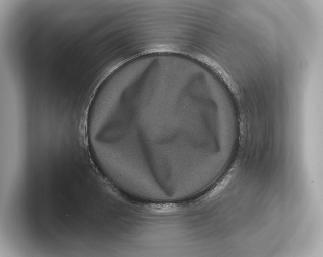 X0000101091129200807241002