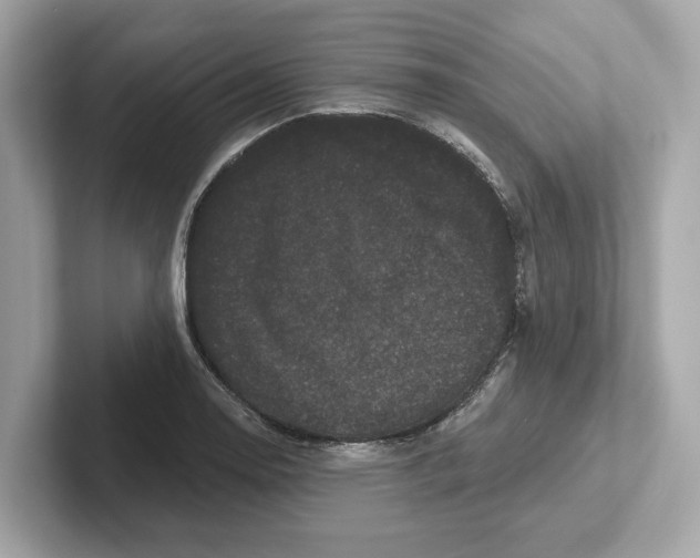 X0000101091130200807241002