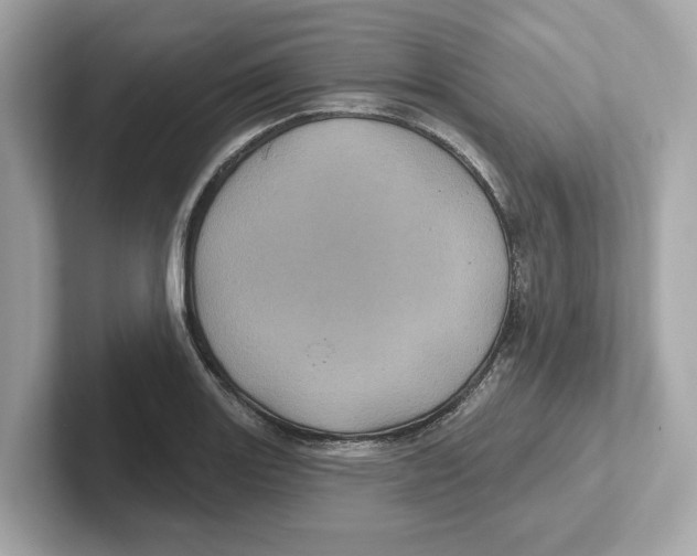 X0000101091131200807241002