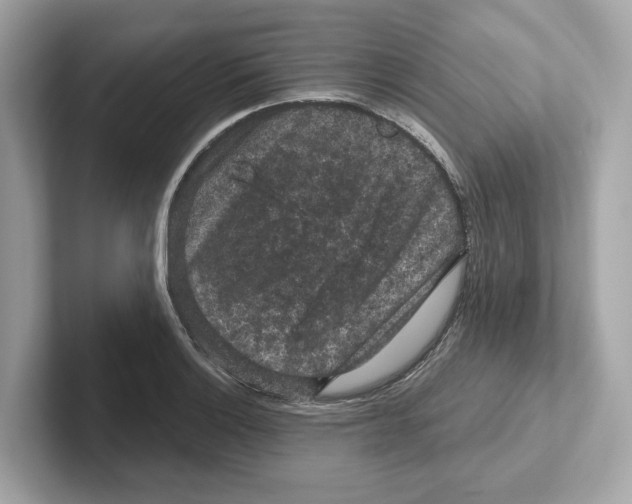 X0000101091132200807241002