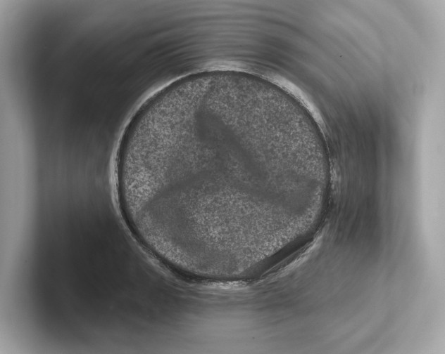 X0000101091133200807241002