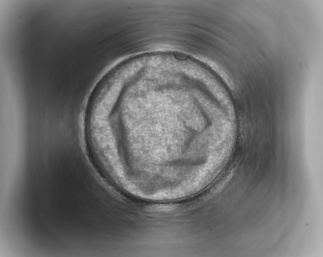 X0000101091134200807241002