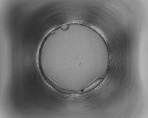 X0000101091135200807241002