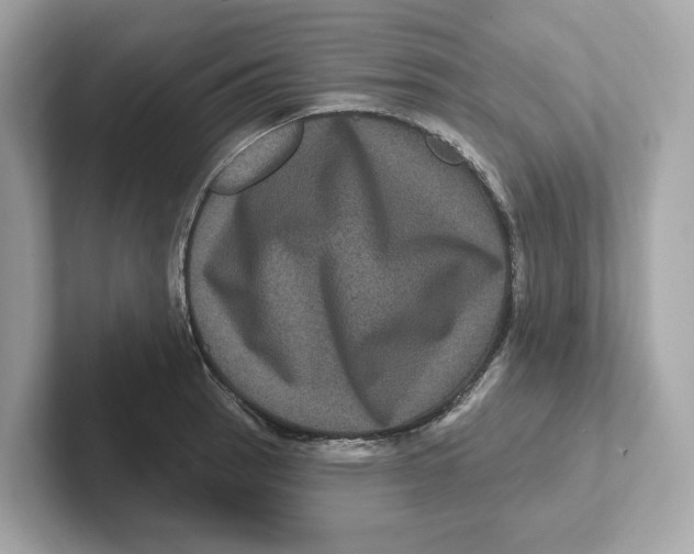 X0000101091137200807241002