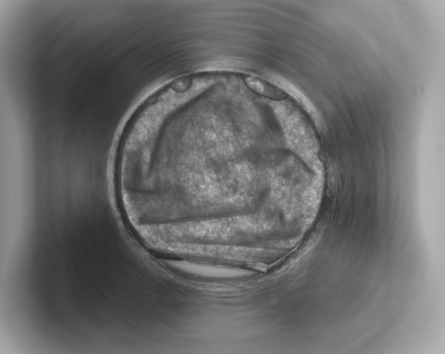 X0000101091138200807241002