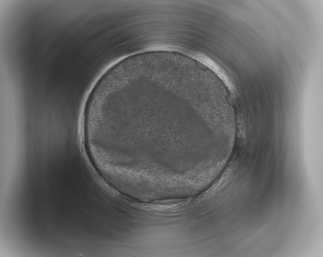 X0000101091140200807241002