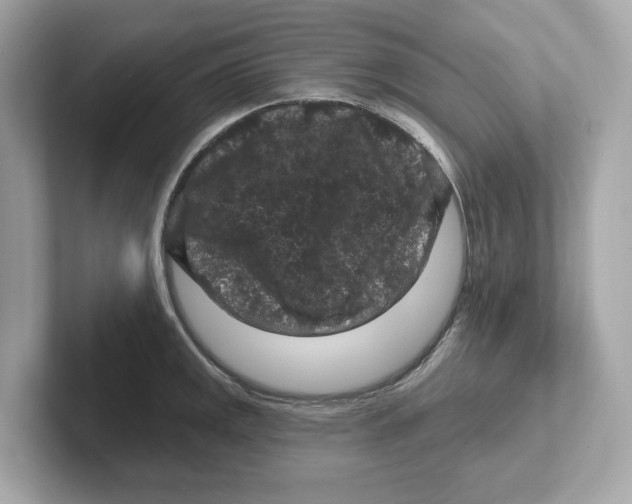 X0000101091141200807241002