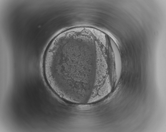 X0000101091142200807241002