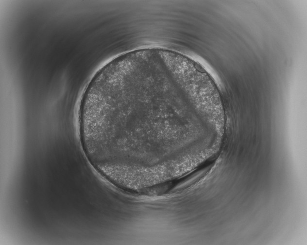 X0000101091143200807241002