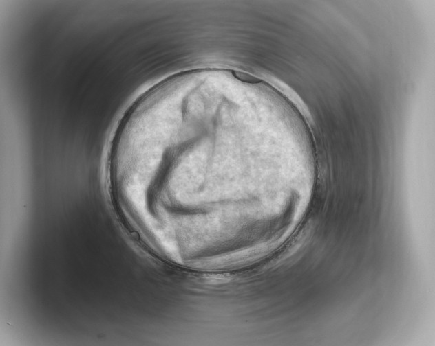 X0000101091144200807241002