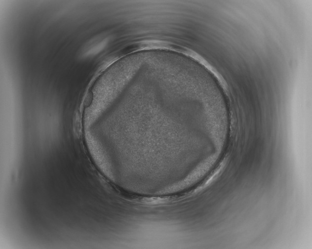 X0000101091145200807241002