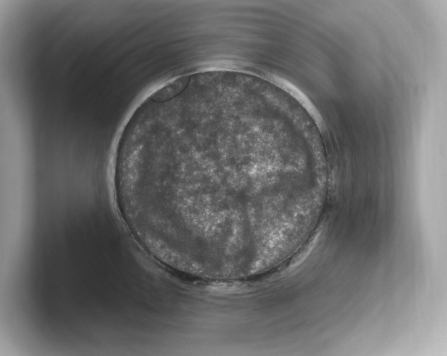 X0000101091146200807241002