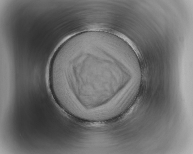 X0000101091147200807241002