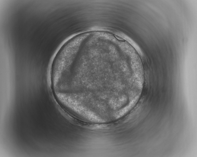 X0000101091148200807241002