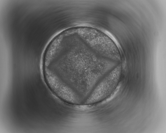 X0000101091149200807241002