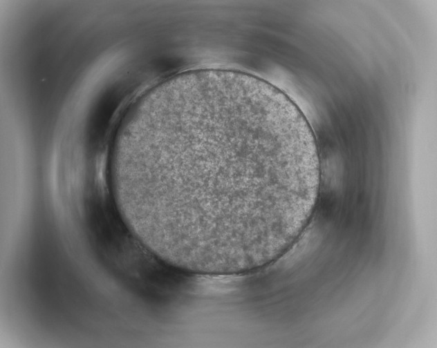 X0000101091150200807241002