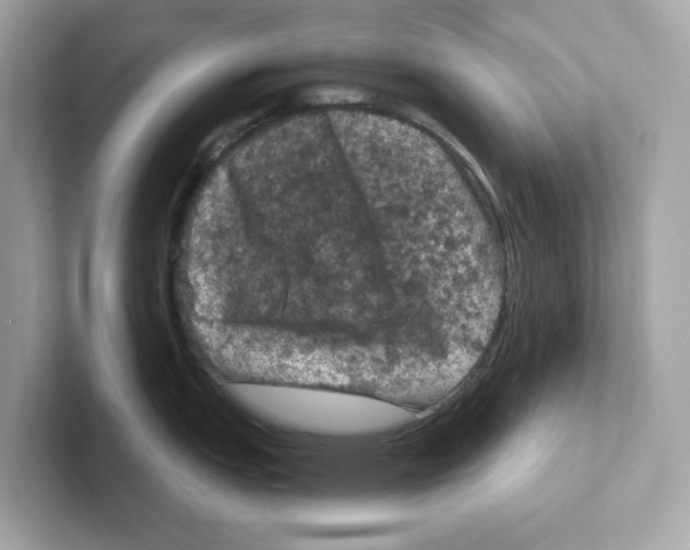 X0000101091151200807241002