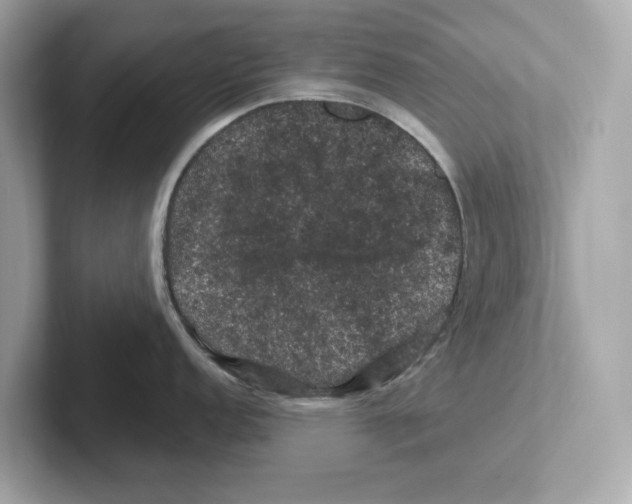 X0000101091152200807241002