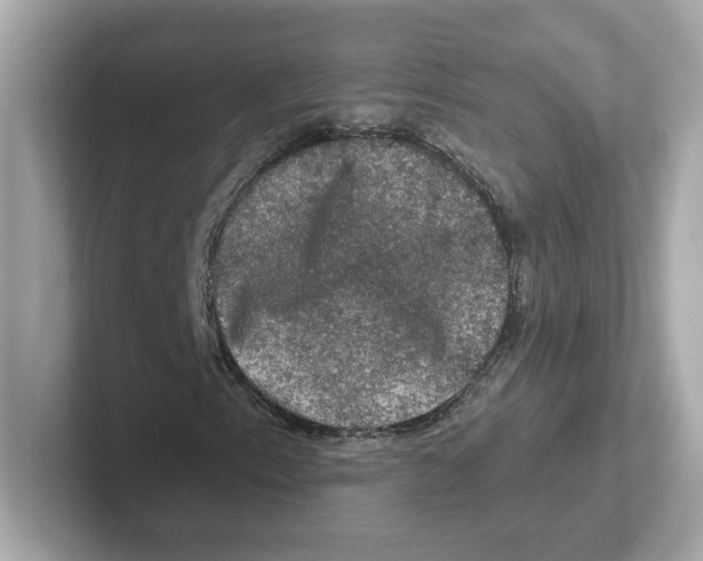 X0000101091153200807241002