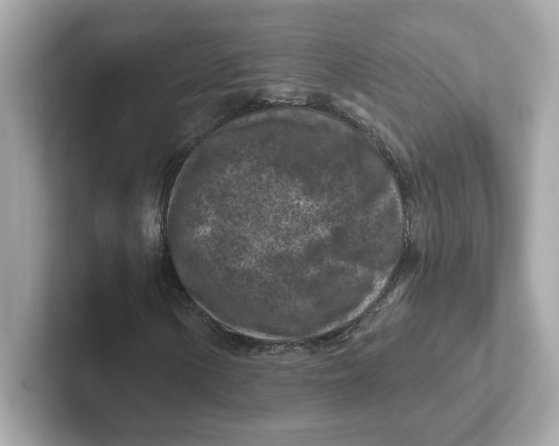 X0000101091154200807241002