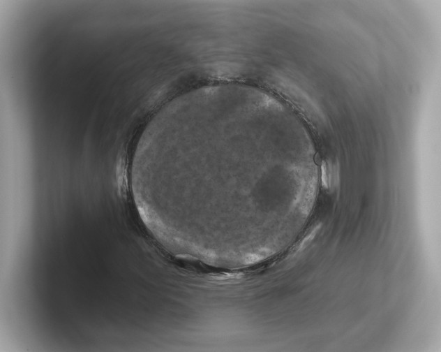 X0000101091155200807241002