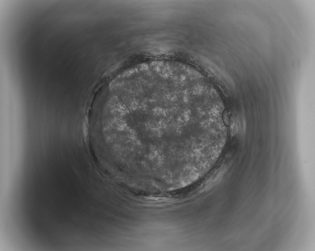 X0000101091156200807241002