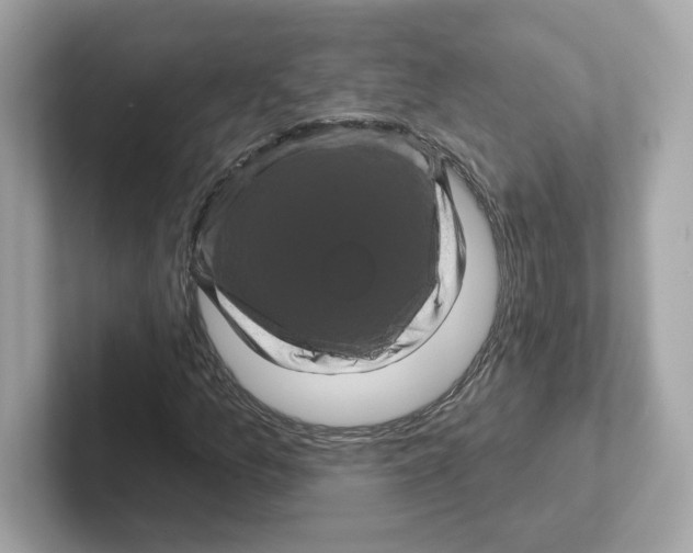 X0000101091157200807241002