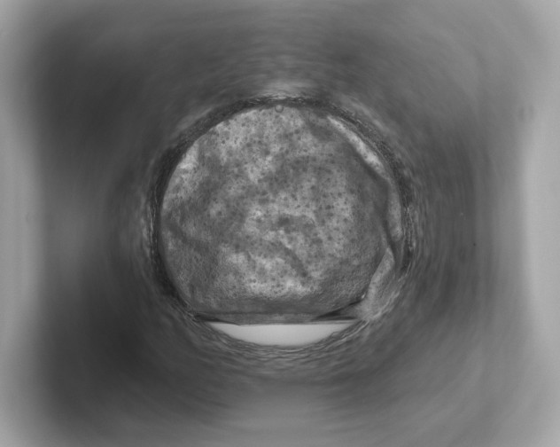 X0000101091158200807241002