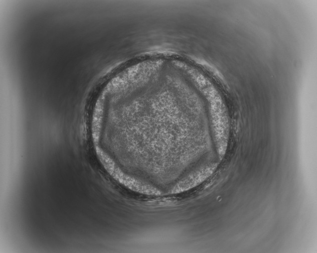 X0000101091159200807241002