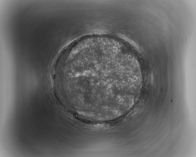 X0000101091160200807241002