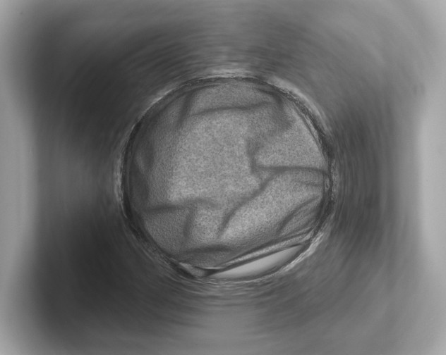 X0000101091162200807241002