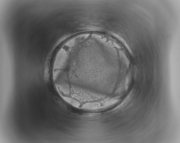 X0000101091163200807241002