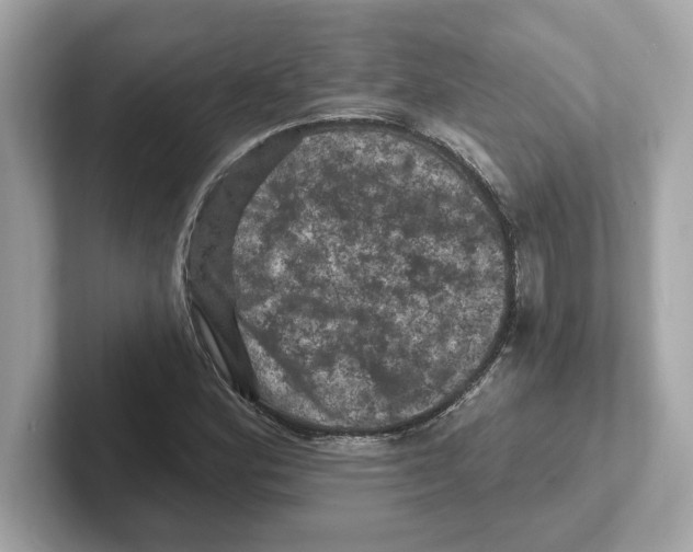 X0000101091164200807241002